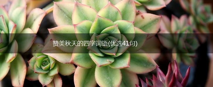 赞美秋天的四字词语(优选41句),第1张