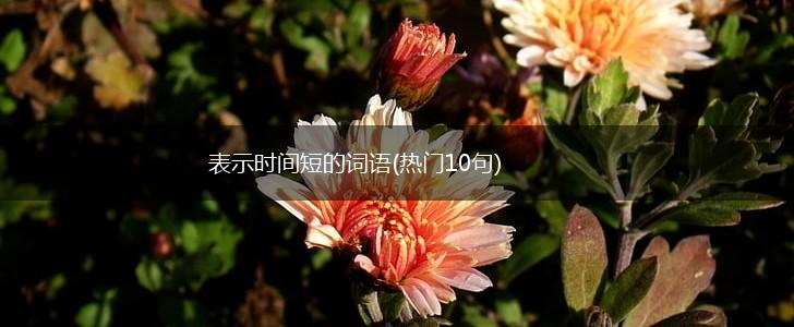 表示时间短的词语(热门10句),第1张