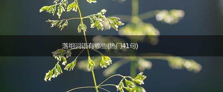 落组词语有哪些(热门41句),第1张 落组词语有哪些(热门41句),第1张
