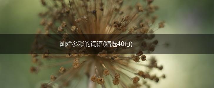 灿烂多彩的词语(精选40句),第1张