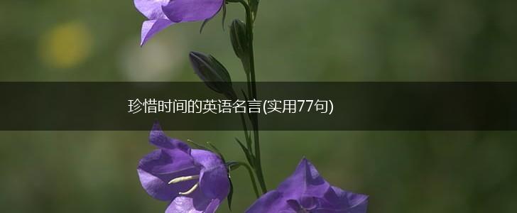 珍惜时间的英语名言(实用77句),第1张