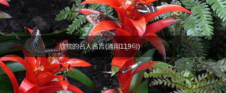 欣赏的名人名言(通用119句),第1张