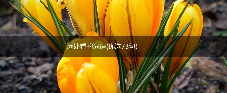 远处看的词语(优选73句),第1张