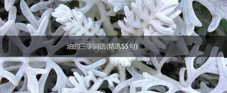 油的三字词语(精选55句),第1张