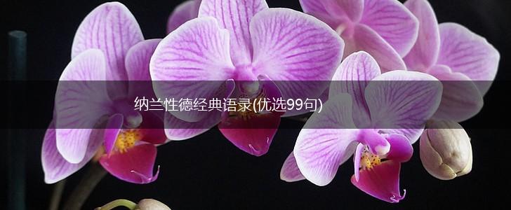 纳兰性德经典语录(优选99句),第1张