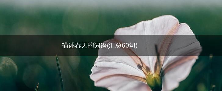 描述春天的词语(汇总60句),第1张