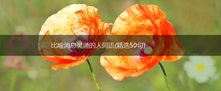 比喻消息灵通的人词语(精选50句),第1张 比喻消息灵通的人词语(精选50句),第1张