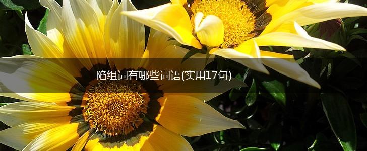 陷组词有哪些词语(实用17句),第1张