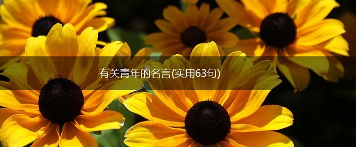 有关青年的名言(实用63句),第1张
