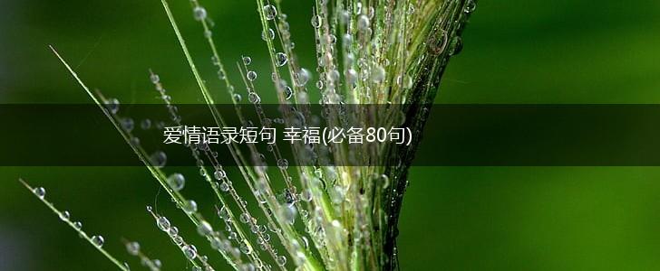 爱情语录短句 幸福(必备80句),第1张