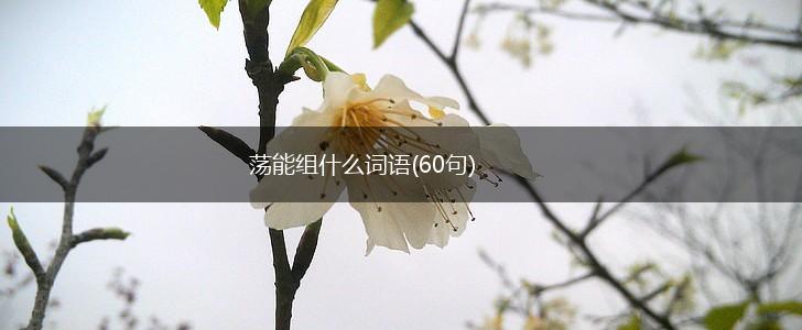 荡能组什么词语(60句),第1张