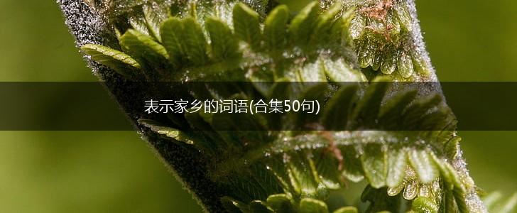 表示家乡的词语(合集50句),第1张