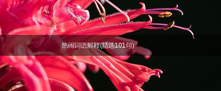 热闹词语解释(精选101句),第1张