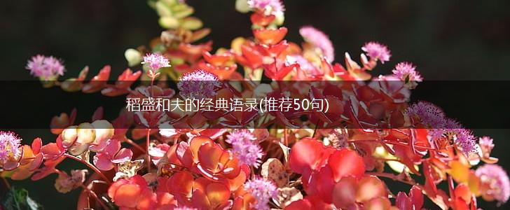 稻盛和夫的经典语录(推荐50句),第1张