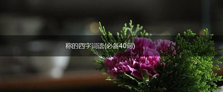 称的四字词语(必备40句),第1张