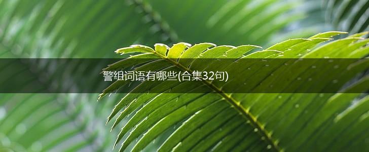 警组词语有哪些(合集32句),第1张