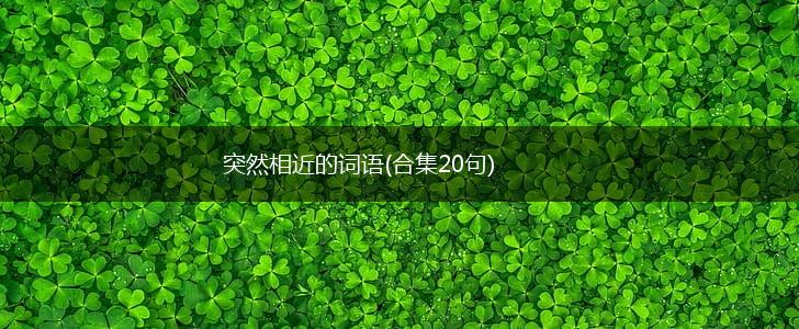 突然相近的词语(合集20句),第1张