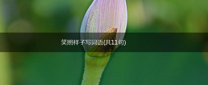 笑照样子写词语(共11句),第1张 笑照样子写词语(共11句),第1张
