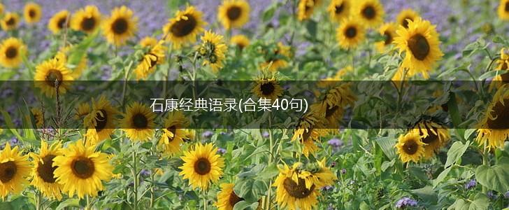 石康经典语录(合集40句),第1张