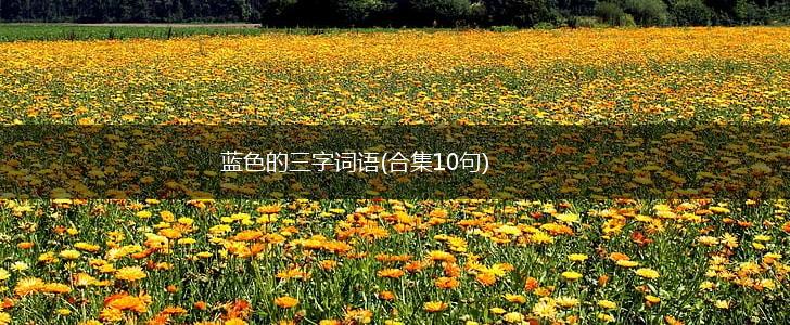 蓝色的三字词语(合集10句),第1张