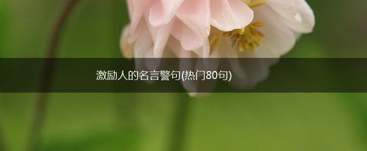 激励人的名言警句(热门80句),第1张