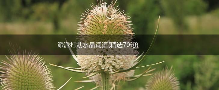 派派打劫水晶词语(精选70句),第1张