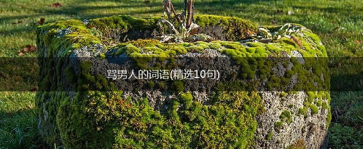 骂男人的词语(精选10句),第1张