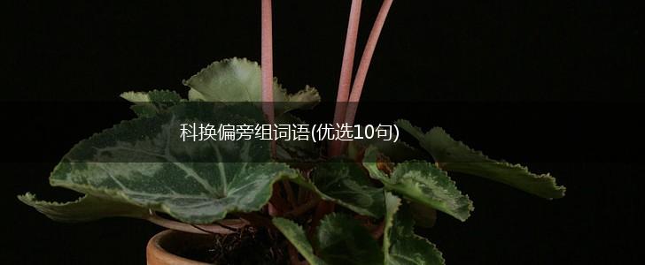 科换偏旁组词语(优选10句),第1张 科换偏旁组词语(优选10句),第1张
