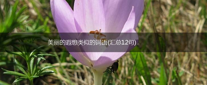 美丽的遐想类似的词语(汇总12句),第1张