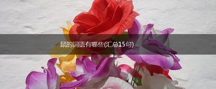 鼠的词语有哪些(汇总15句),第1张