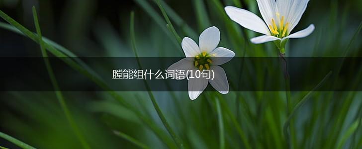 膛能组什么词语(10句),第1张