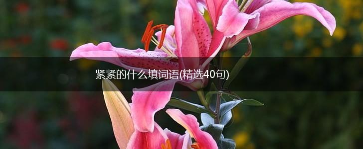 紧紧的什么填词语(精选40句),第1张