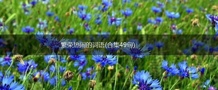 繁荣热闹的词语(合集49句),第1张