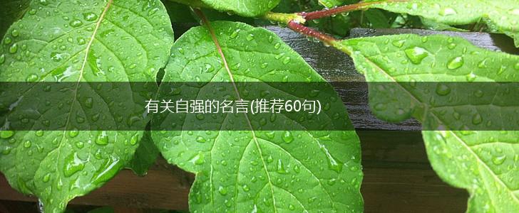 有关自强的名言(推荐60句),第1张