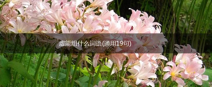 虚能组什么词语(通用19句),第1张
