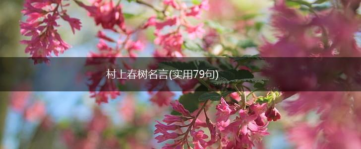 村上春树名言(实用79句),第1张