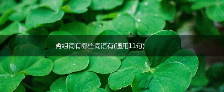 臀组词有哪些词语有(通用11句),第1张 臀组词有哪些词语有(通用11句),第1张