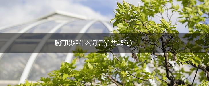 腕可以组什么词语(合集15句),第1张 腕可以组什么词语(合集15句),第1张
