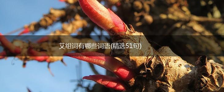 艾组词有哪些词语(精选51句),第1张