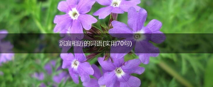 沉寂相近的词语(实用70句),第1张