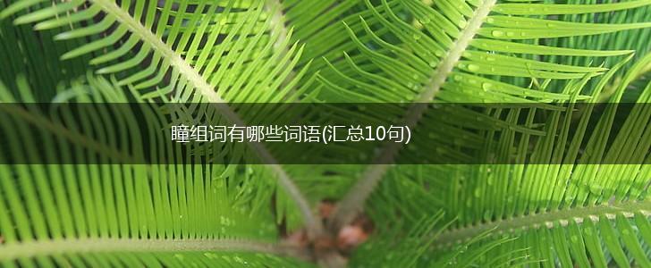 瞳组词有哪些词语(汇总10句),第1张 瞳组词有哪些词语(汇总10句),第1张