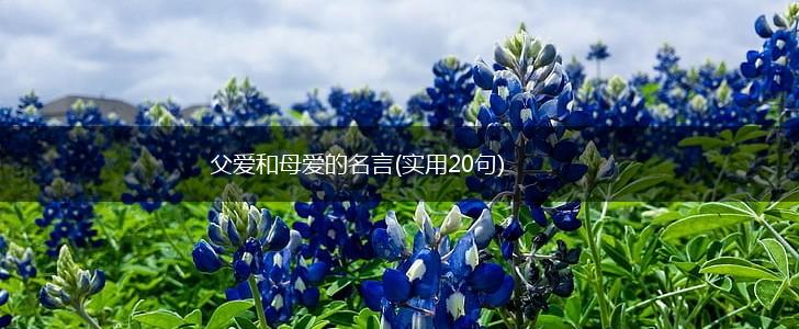 父爱和母爱的名言(实用20句),第1张
