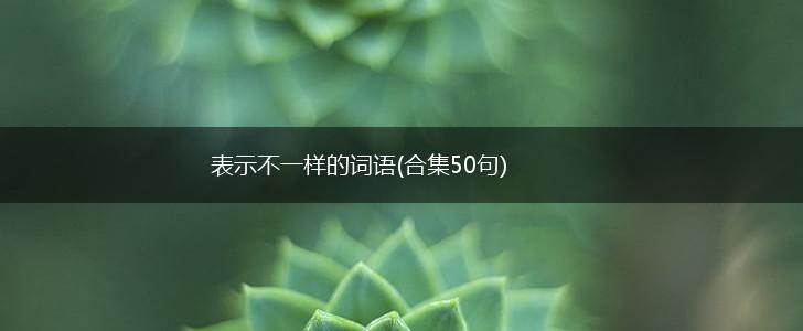 表示不一样的词语(合集50句),第1张