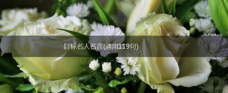 目标名人名言(通用119句),第1张
