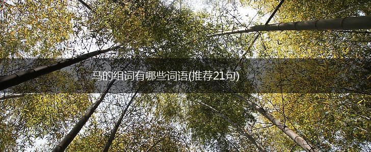 马的组词有哪些词语(推荐21句),第1张