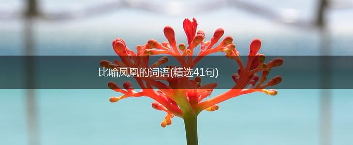 比喻凤凰的词语(精选41句),第1张