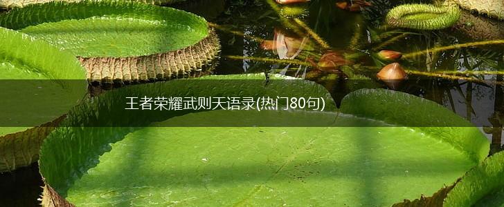 王者荣耀武则天语录(热门80句),第1张