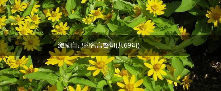 激励自己的名言警句(共69句),第1张 激励自己的名言警句(共69句),第1张