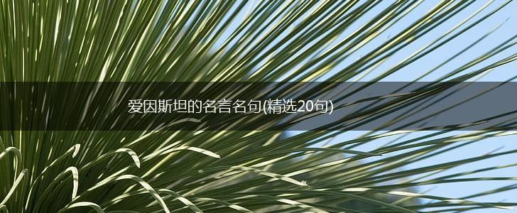 爱因斯坦的名言名句(精选20句),第1张