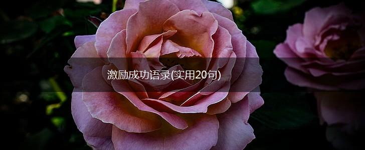 激励成功语录(实用20句),第1张